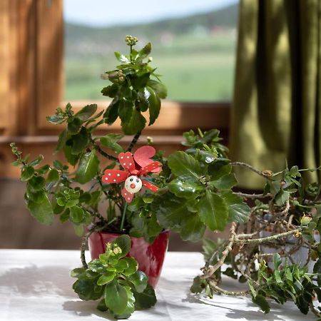 Quaint Holiday Home In Bad K Tzting With Garden Terrace Kötzting Exterior foto
